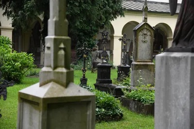 DSC_6104 (Large).JPG